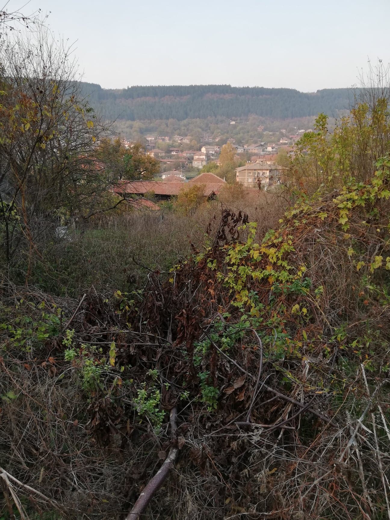 Парцел, ID: 4028 Парцел, ID: 4028
