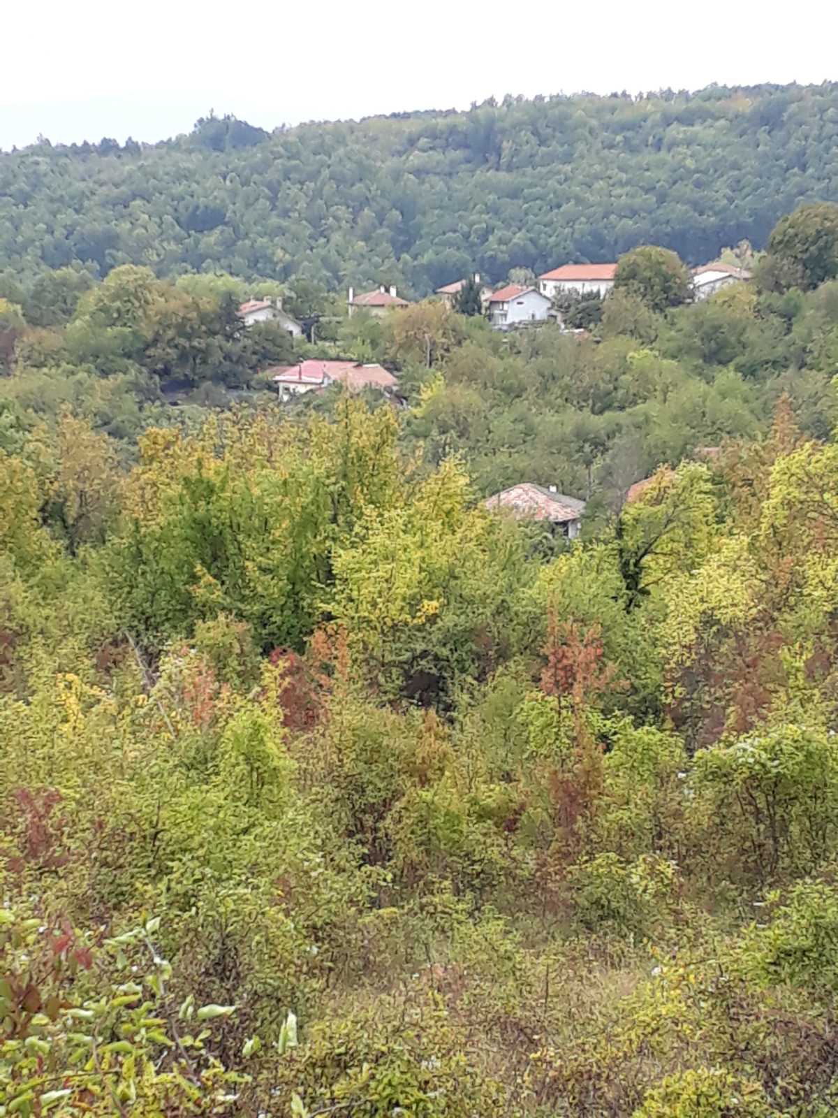 ПАРЦЕЛ В РЕГУЛАЦИЯ, ID: 4907 ПАРЦЕЛ В РЕГУЛАЦИЯ, ID: 4907