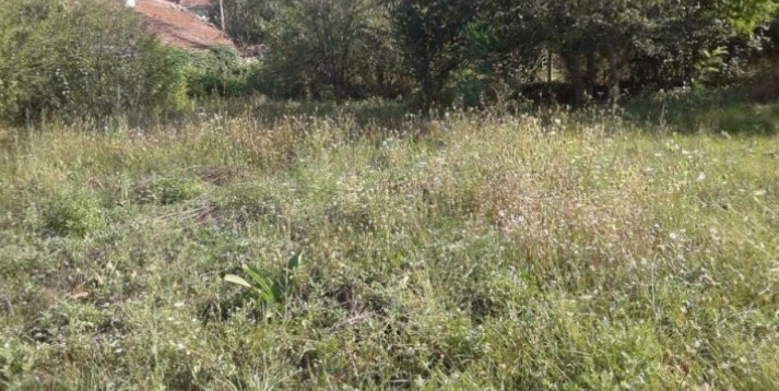 ПАРЦЕЛ В РЕГУЛАЦИЯ, ID: 5002 ПАРЦЕЛ В РЕГУЛАЦИЯ, ID: 5002